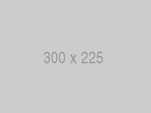 Thẻ nhớ Lexar Professional 1667x UHS-II SDXC Card V60