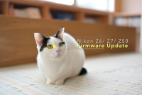 Nikon Z6/Z7/Z50 Firmware Update: nâng cấp khả năng AF, lấy nét mắt động vật, nhận thêm thẻ CFexpress
