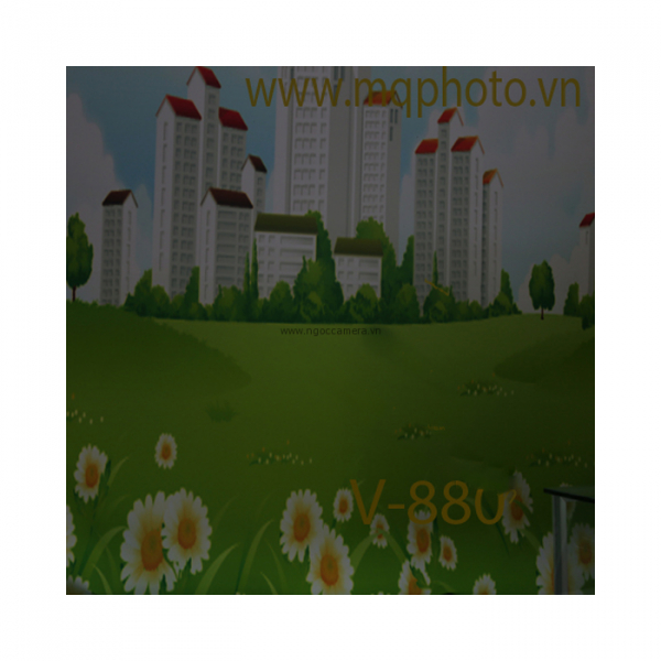 Phông 3D PP 3M x 6M