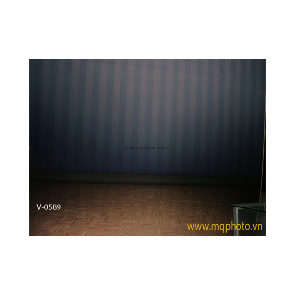 Phông 3D PP 3M x 6M