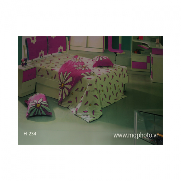 Phông 3D PP 3M x 6M
