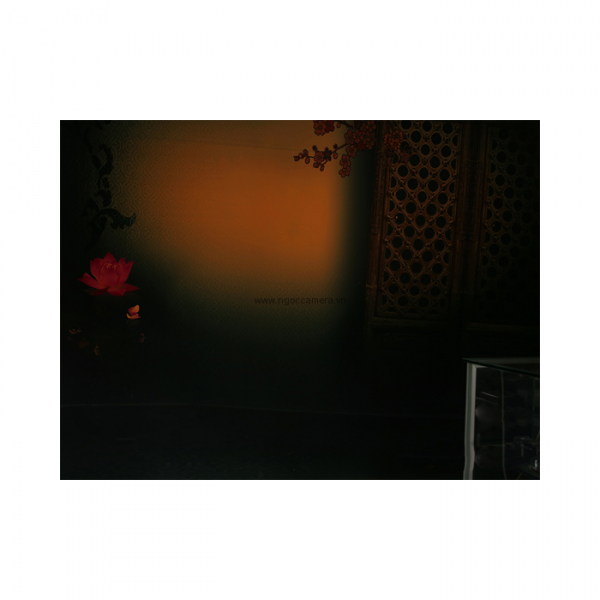Phông 3D PP 3M x 6M