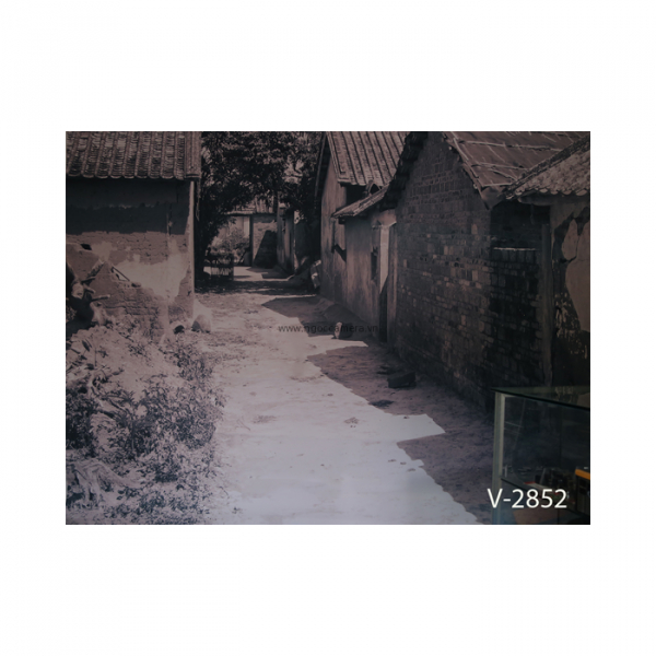 Phông 3D PP 3M x 6M