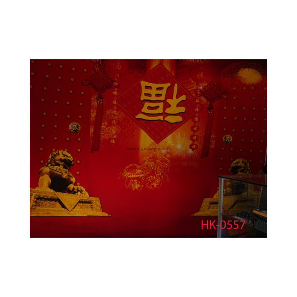Phông 3D PP 3M x 6M