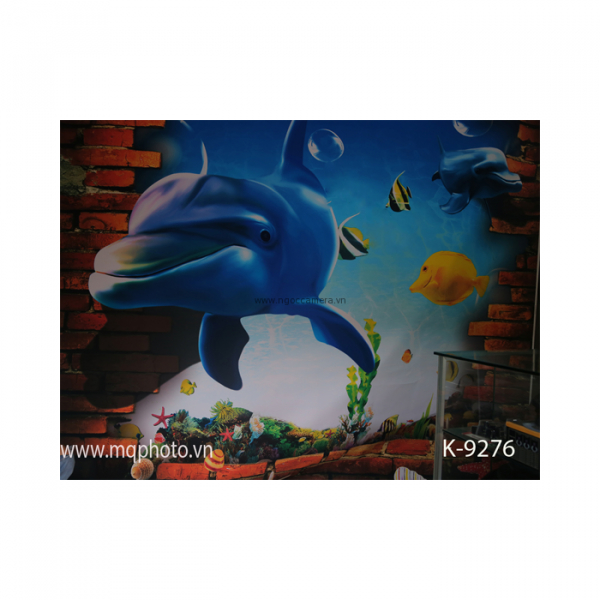 Phông 3D PP 3M x 6M