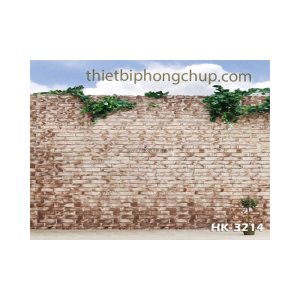 Phông 3D PP 3M x 6M HK-3214