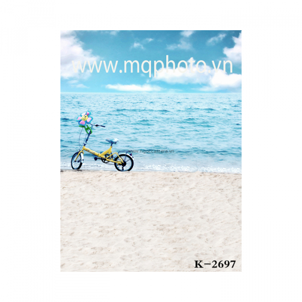 Phông 3D PP 3M x 5M K-2697