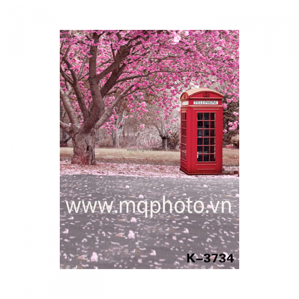 Phông 3D PP 3M x 5M K-3734