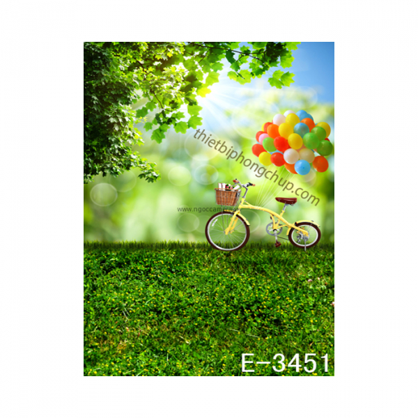 Phông 3D PP 3M x 5M E-3451