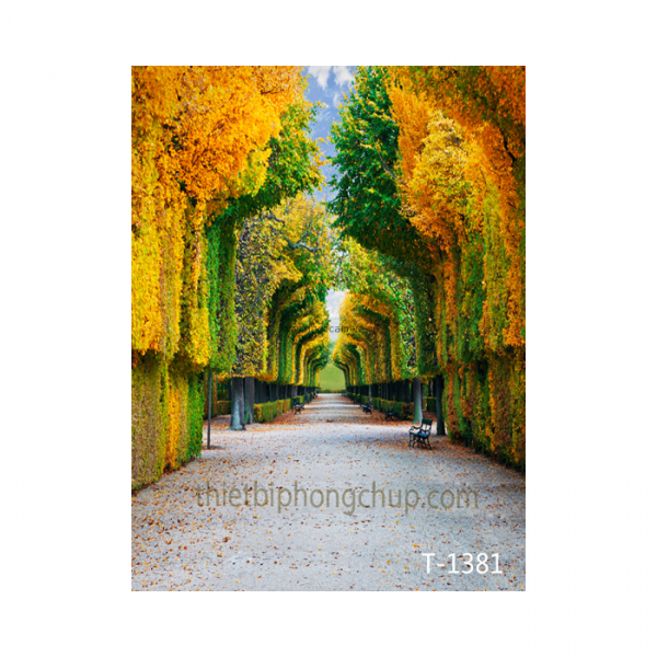 Phông 3D PP 3M x 5M T-1381