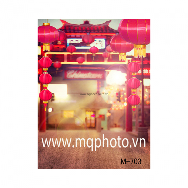 Phhông PP 3D 3M x 5M M-703
