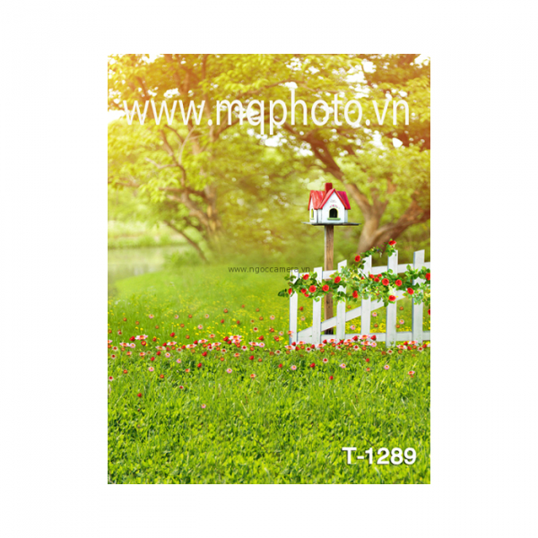 Phông PP 3D 3M x 5M T-1289