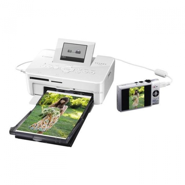 Máy in ảnh Canon Selphy  CP820