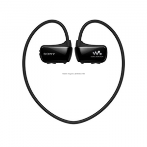 Sony Walkman NWZ-W273 (NWZ-W270)