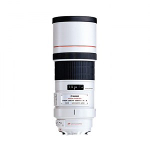 Canon EF 300mm f/4L IS USM