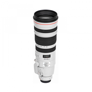 Canon EF 200-400mm f/4L IS USM Extender 1.4x