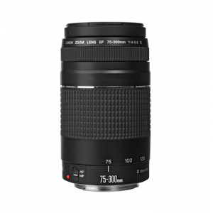 Canon EF 75-300mm f/4-5.6 III