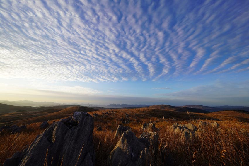 Sony FE 12-24mm f/2.8 GM