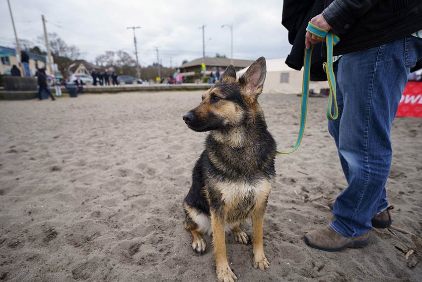 Sony FE 20mm F1.8 G
