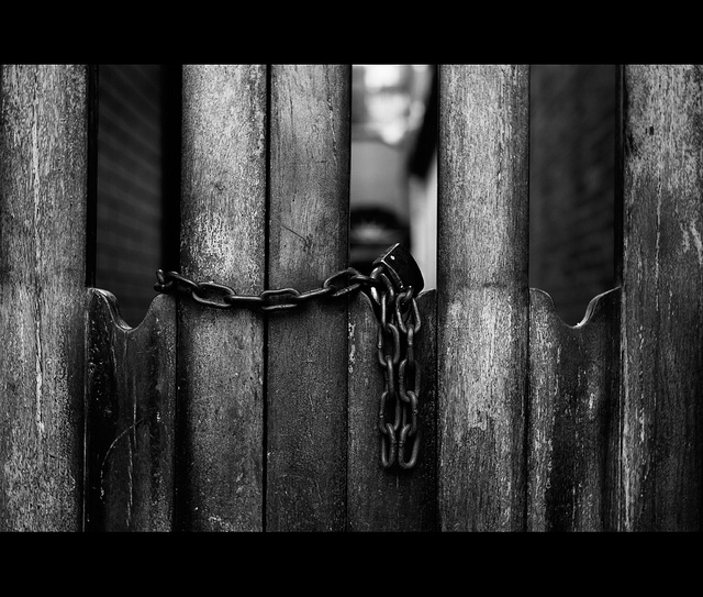 _0013377 copy v