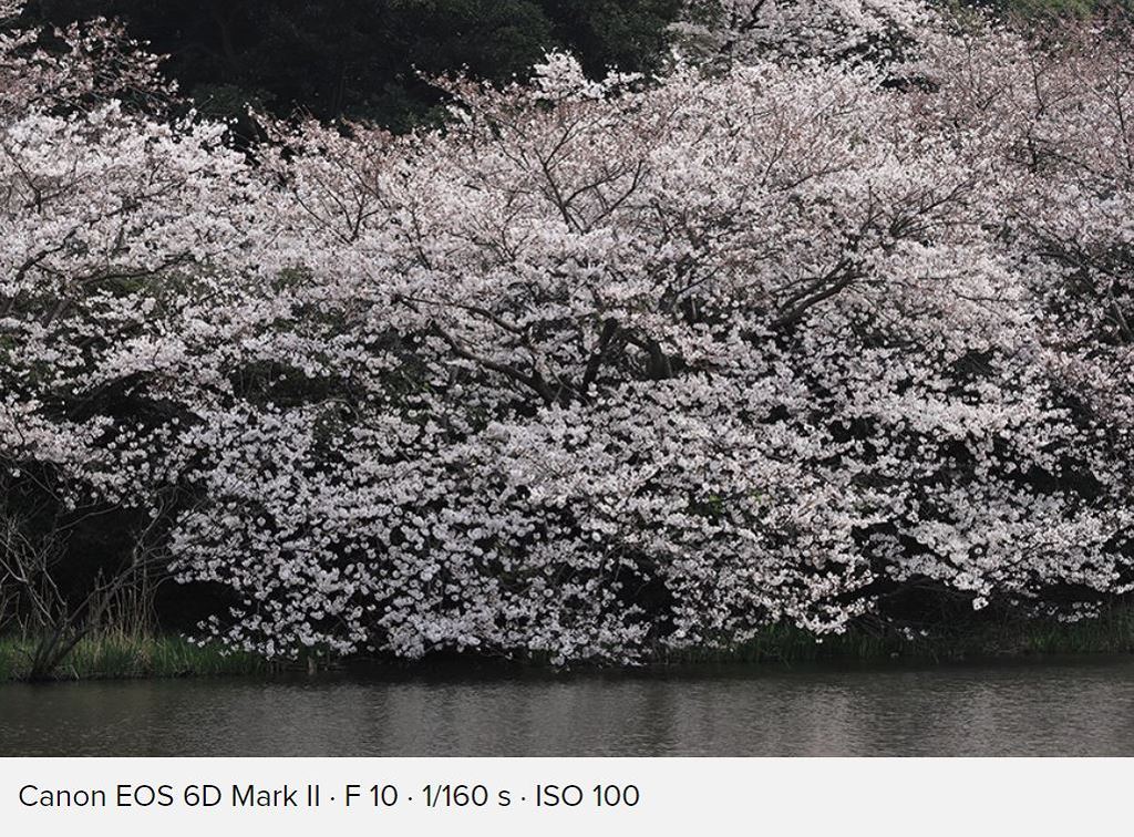 Canon ra mắt bộ đôi ống kính 70-200mm f/2.8L IS mark III và f/4L IS mark II ảnh 9