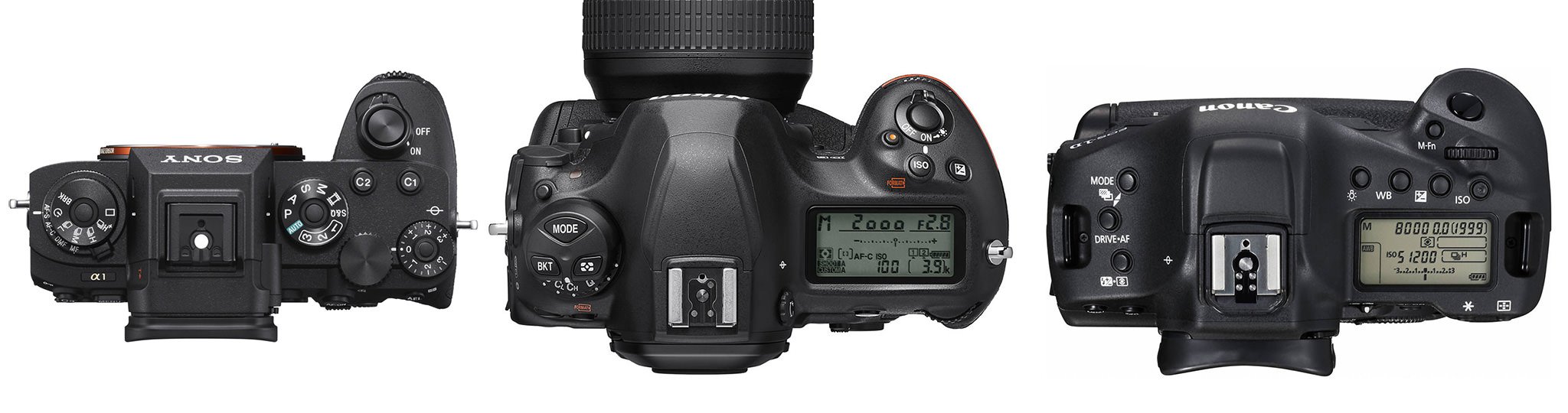 Sony-A1-vs-Nikon-D6-vs-Canon-1D-X-Mark-III-Top-View.jpg