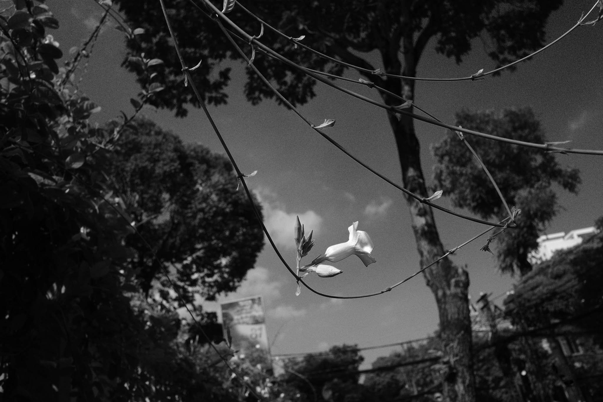 Đang tải 00036ricoh gr3-camera.tinhte.vn.jpg&hellip;